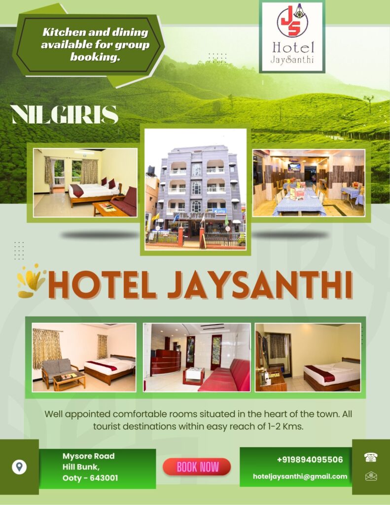Best Creative Agency in Ooty